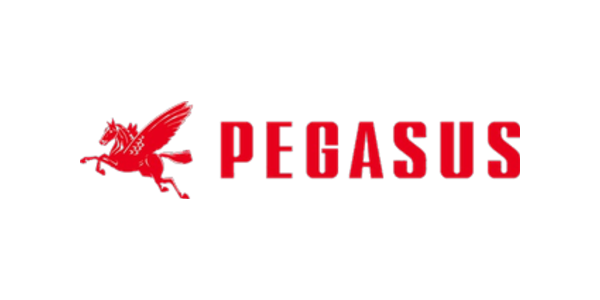 Pegasus